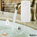 Real Time Water Leak Alarm for Office