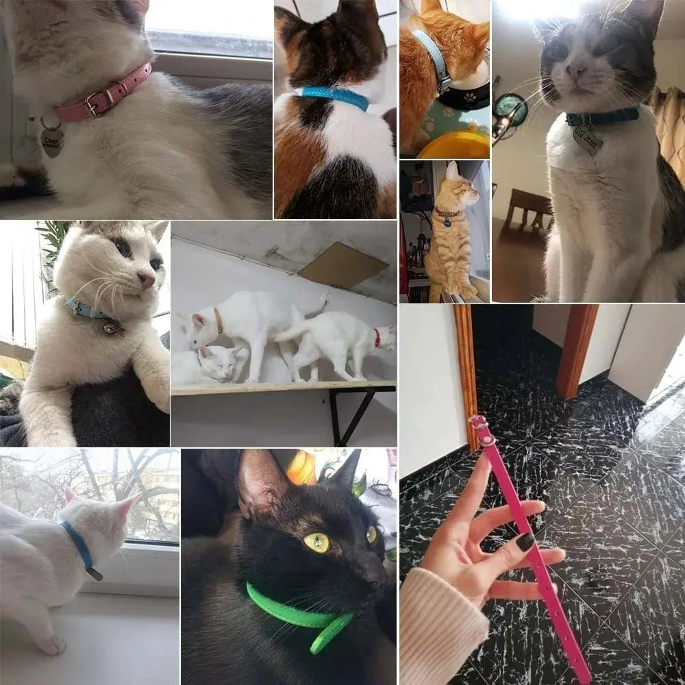 Colorful Leather Pet Collar Custom Padded Quick Release