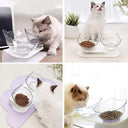 Elevate Mealtime Ergonomic Non-Slip Pet Feeder Stand
