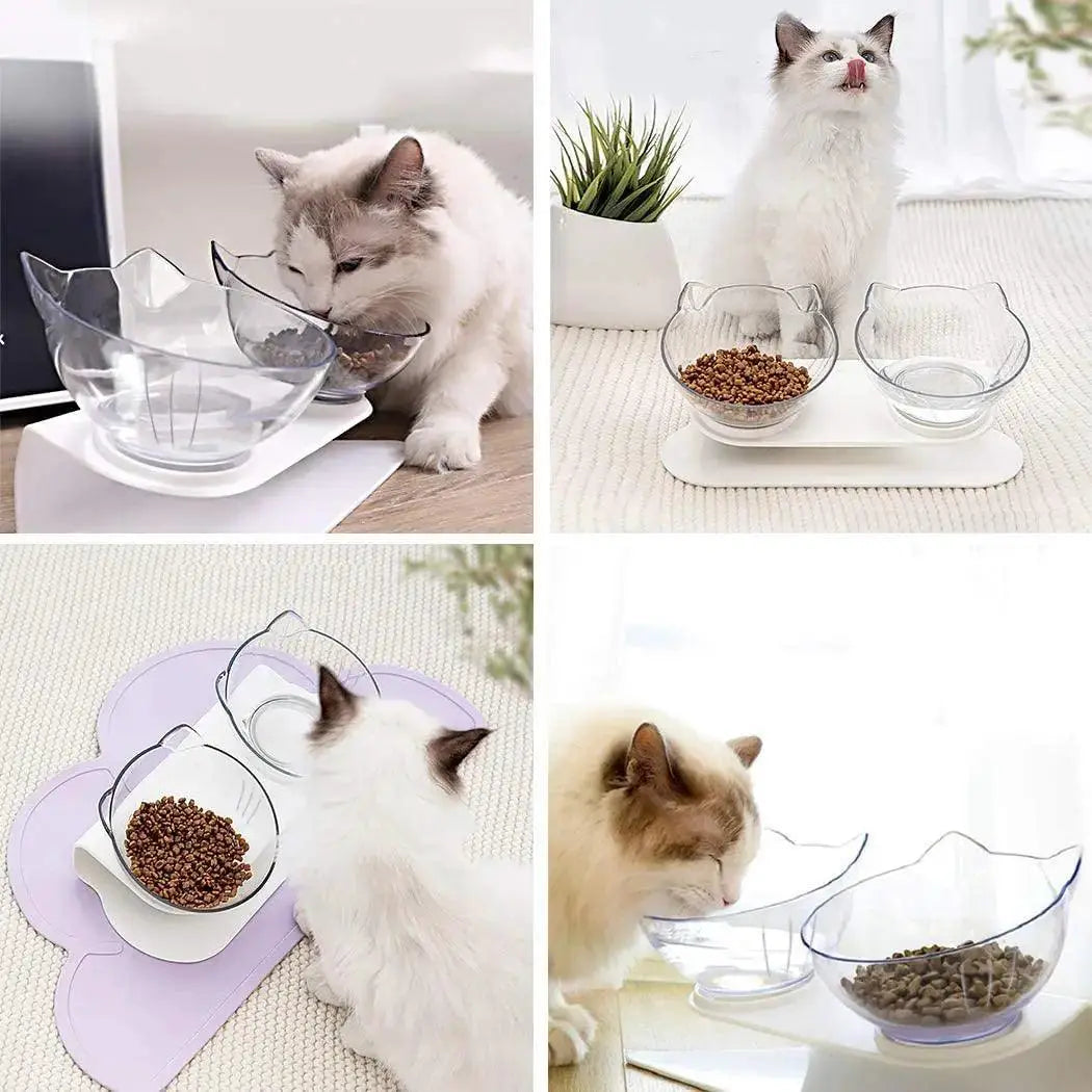Elevate Mealtime Ergonomic Non Slip Pet Feeder Stand