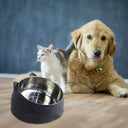Heat Pet Bowl Temperature-Controllable Dog Water Dispenser