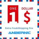 Anbernic Extra Fee Cost Balance