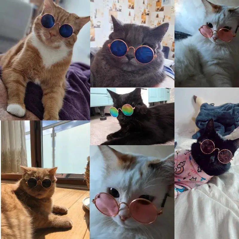 Trendy Pet Sunglasses for Cats and Small Dogs UV Protection