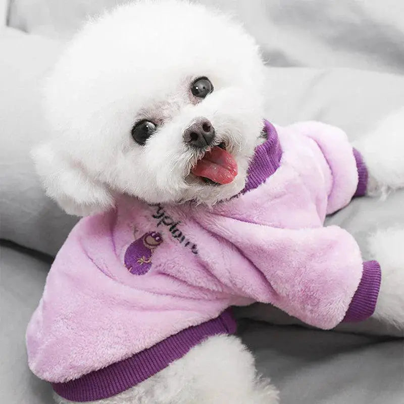 Winter Pet Fleece Coat Fruit Print Jacket For Dogs