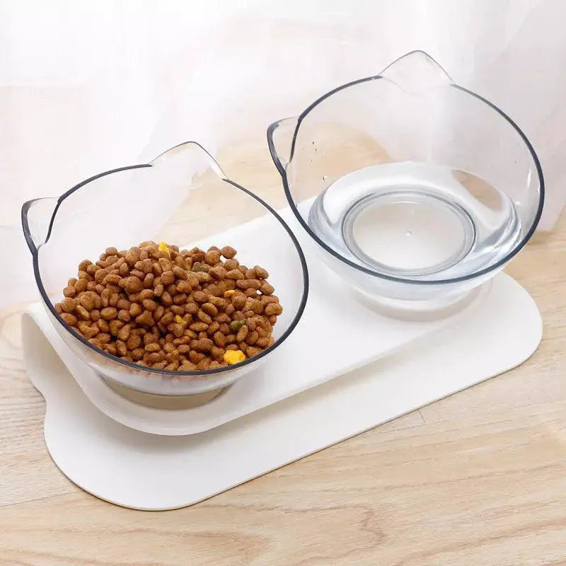 Double Cat Bowl Set Elevated Feeding Bowls For Cats