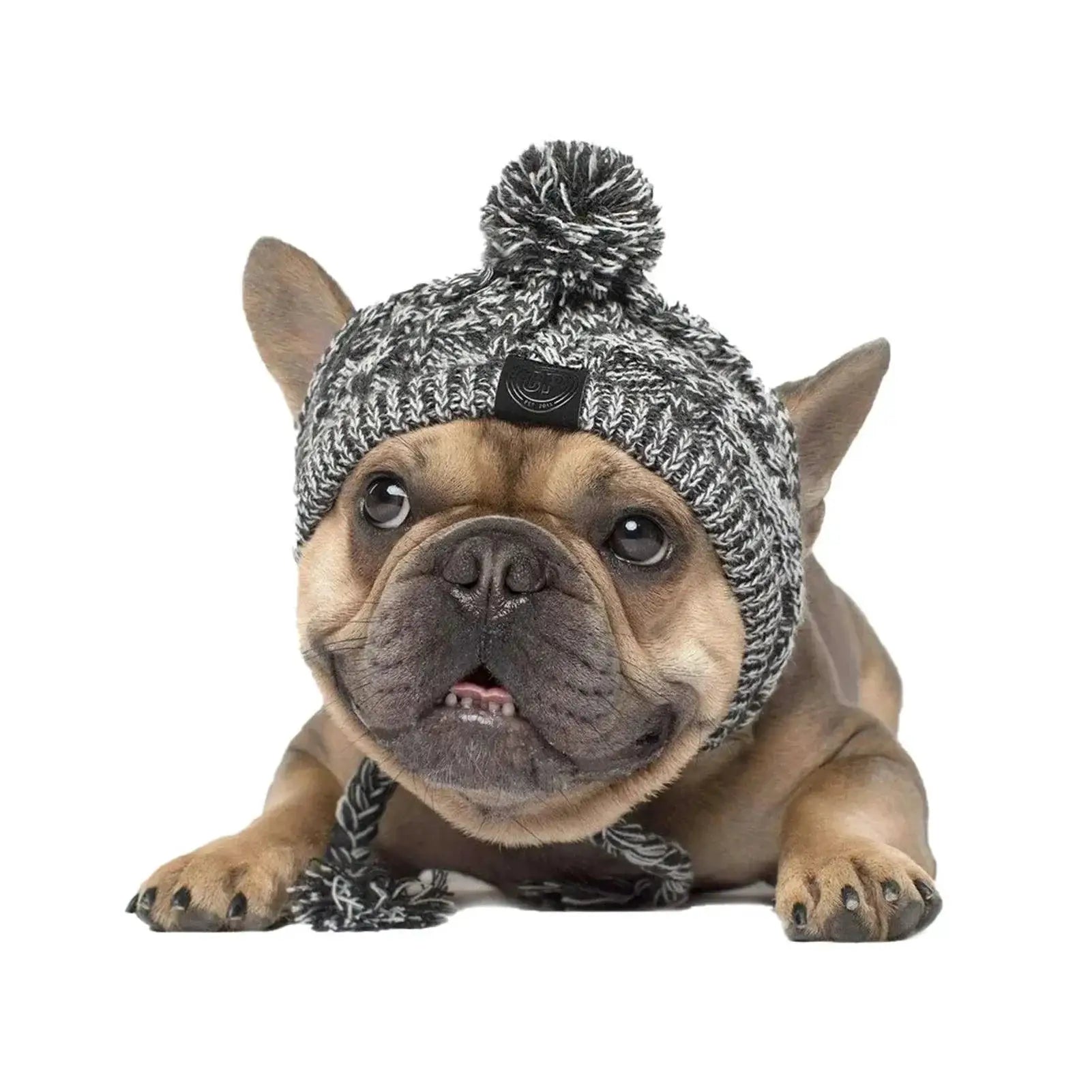Winter Dog Hats Knitting For French Bulldog And Chihuahua