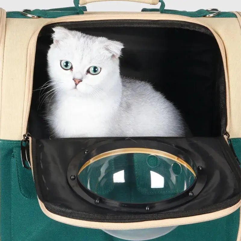 Astronaut Capsule Pet Carrier Backpack For Cats And Dogs