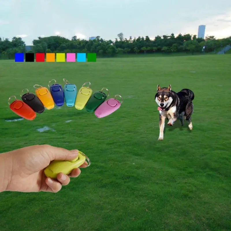Dog Repeller And Bark Stop Training Whistle Keyring