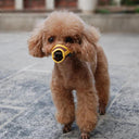 Adjustable Breathable Dog Muzzle for Safe Restraint