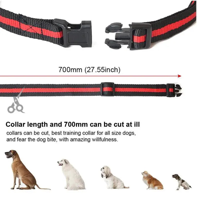 Dog Training Collar Waterproof Remote Control For All Sizes