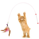 Colorful Feather Wand Cat Toy with Bell & Mouse Teaser
