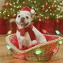 Festive Plush Santa Hat for Pets Adorable Holiday Cap