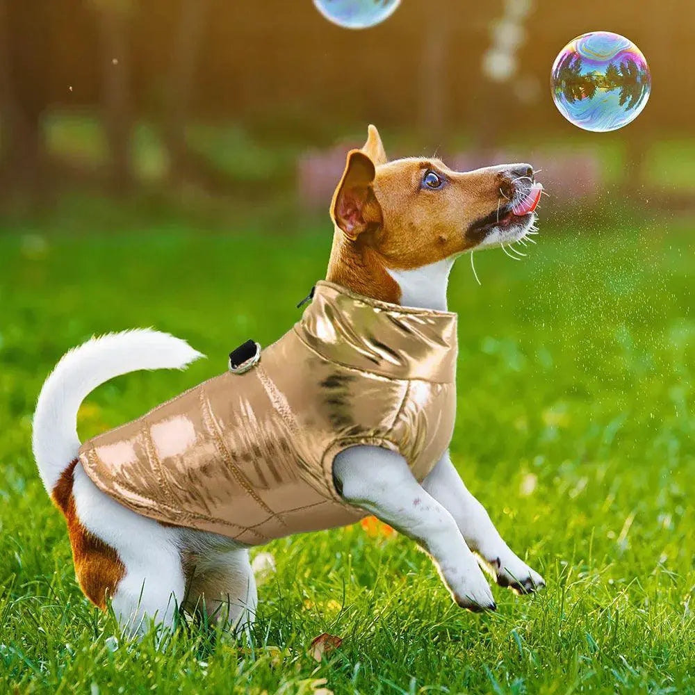 Waterproof Dog Jacket For Small Breeds Warm Coat Rainproof