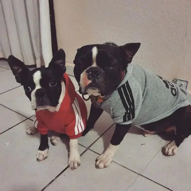 Winter Dog Adidog Sport Hoodies For Stylish Warm Pets