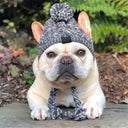 Winter Dog Hats Knitting French Bulldog & Chihuahua Hats