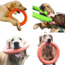 Durable Dog Toy for Active Fetch Play