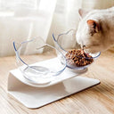 Elevate Mealtime Ergonomic Non-Slip Pet Feeder Stand