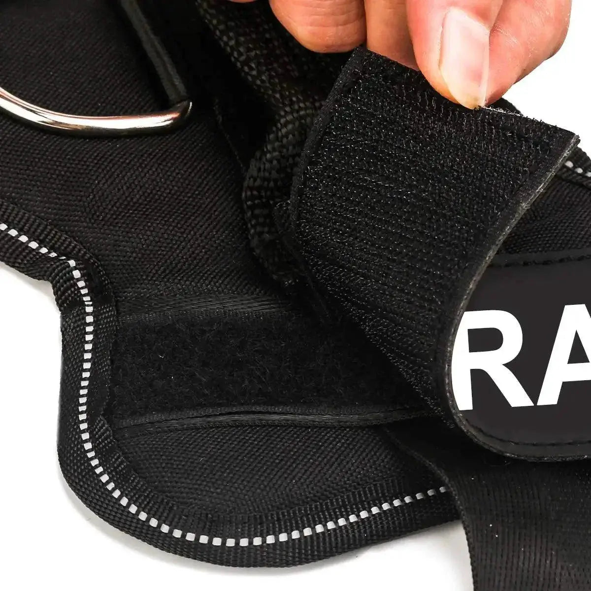 Personalized Pet Harness With Name Label For Stylish Walks
