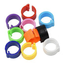 Vibrant Bird ID Clips for Easy Tagging