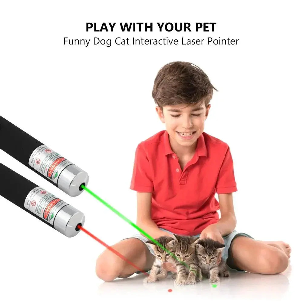 Laser Pointer Interactive Pet Toy And Office Pen Tool