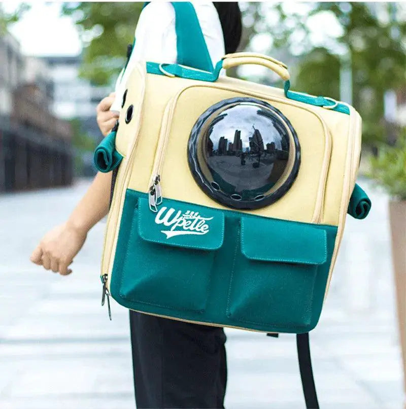 Astronaut Capsule Pet Carrier Backpack For Cats And Dogs