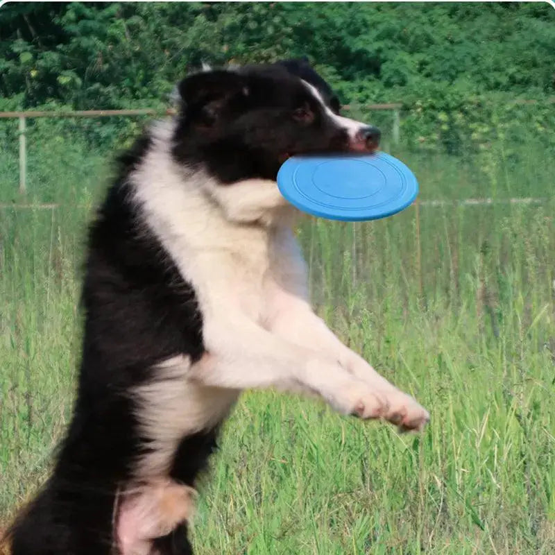 Dog Rubber Flying Saucer Toy Interactive UFO Training Disc