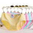 Colorful Cotton Panties Set for Women Premium Underwear