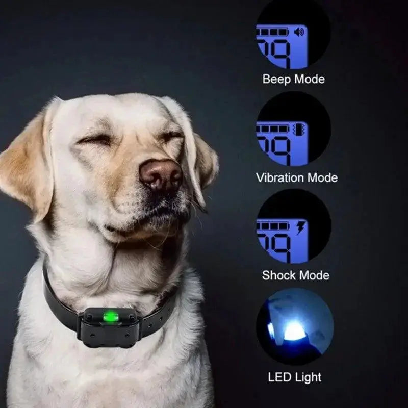 Waterproof Electric Dog Training Collar With Remote Control