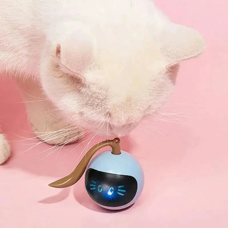 Interactive LED Cat Toy Engage Entertain Exercise For Cats