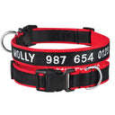 Embroidered Personalized Nylon Dog Collar for All Sizes