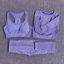 Seamless Yoga Set Women Leggings Crop Top