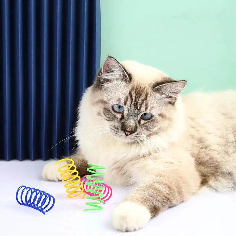 Kitten Cat Spring Toys Durable Colorful Coil Spiral Playtime