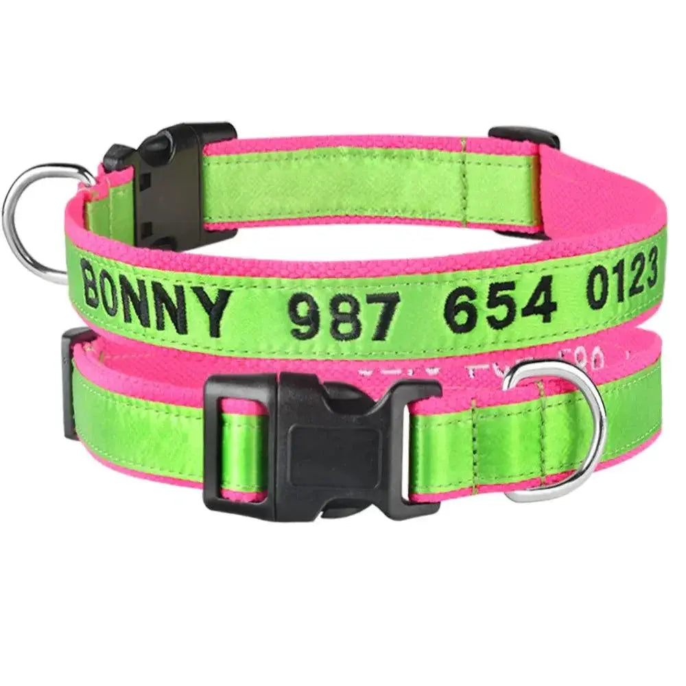 Embroidered Personalized Nylon Dog Collar All Sizes