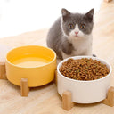 Ceramic Pet Feeding Bowls Eco Friendly Colorful Durable