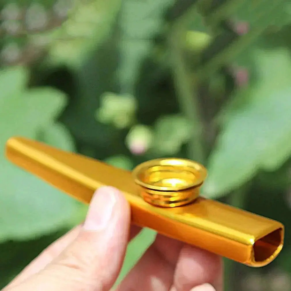 Metal Kazoos For Guitar Players Musical Instrument Set