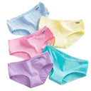Colorful Cotton Panties Set for Women Premium Underwear