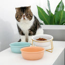 Ceramic Cat Bowl with Raised Stand Stylish Feeder for Pets