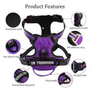 Adjustable Reflective Dog Harness Vest with Leash for Dogs