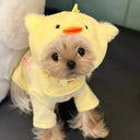 Cat Accessory Rabbit Headdress for Pics