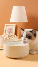 Pet Heating Winter Dog Automatic Warm Water Cat Device