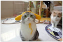 Handmade Cat Headdress For Cute Disguise