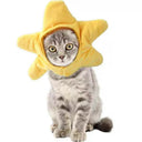 Cat Accessory Rabbit Headdress for Pics