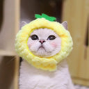Cat Accessory Rabbit Headdress for Pics