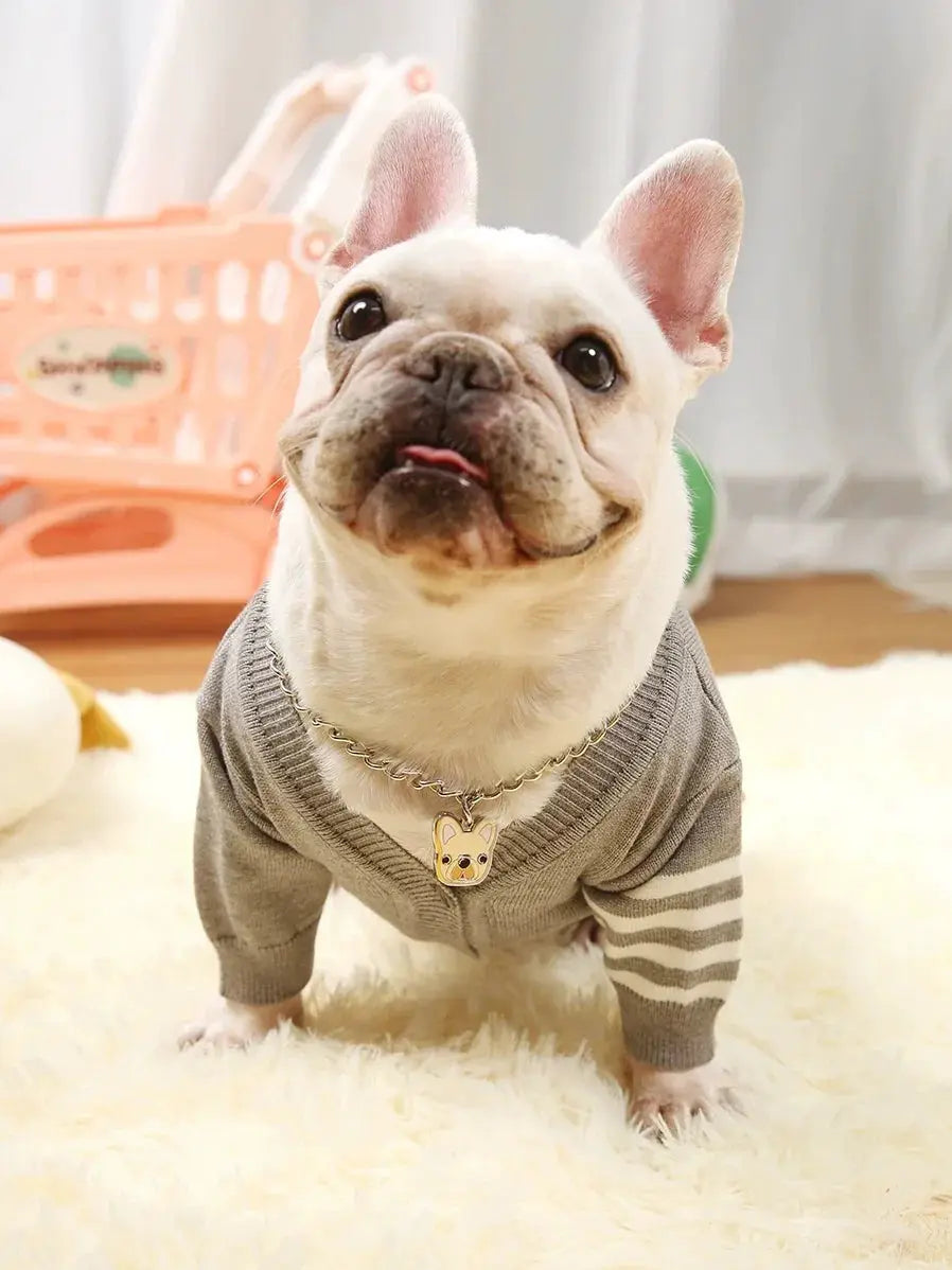 TB Dog Clothes Pet Sweater Autumn Winter Cardigan Small Dogs