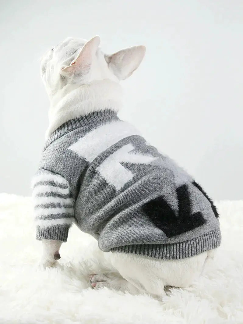 Pet Trendy Velvet Padded Winter Dog Sweater Big Brother