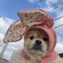 Winter Warmth Pet Hat for Dogs and Cats