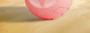 Smart Cat Teasing Ball for Curious Cats