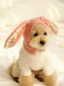Winter Warmth Pet Hat for Dogs and Cats