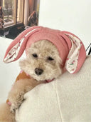 Winter Warmth Pet Hat for Dogs and Cats