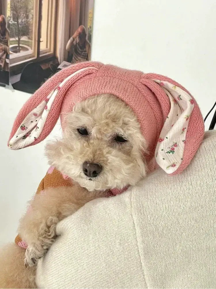 Pet Hat Autumn Winter Warm Knitted Hat With Cute Rabbit Ears